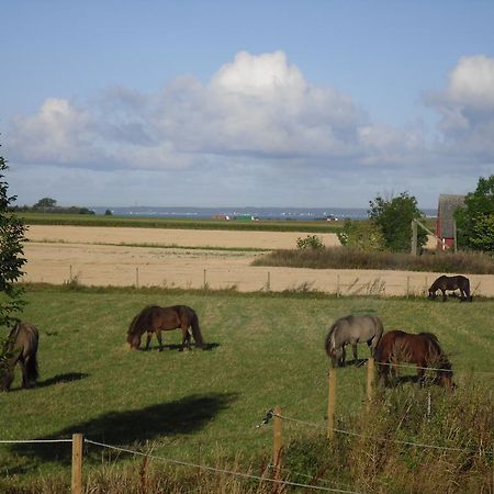 Pensjonat Laegenhet Lillisgarden Vallåkra Zewnętrze zdjęcie