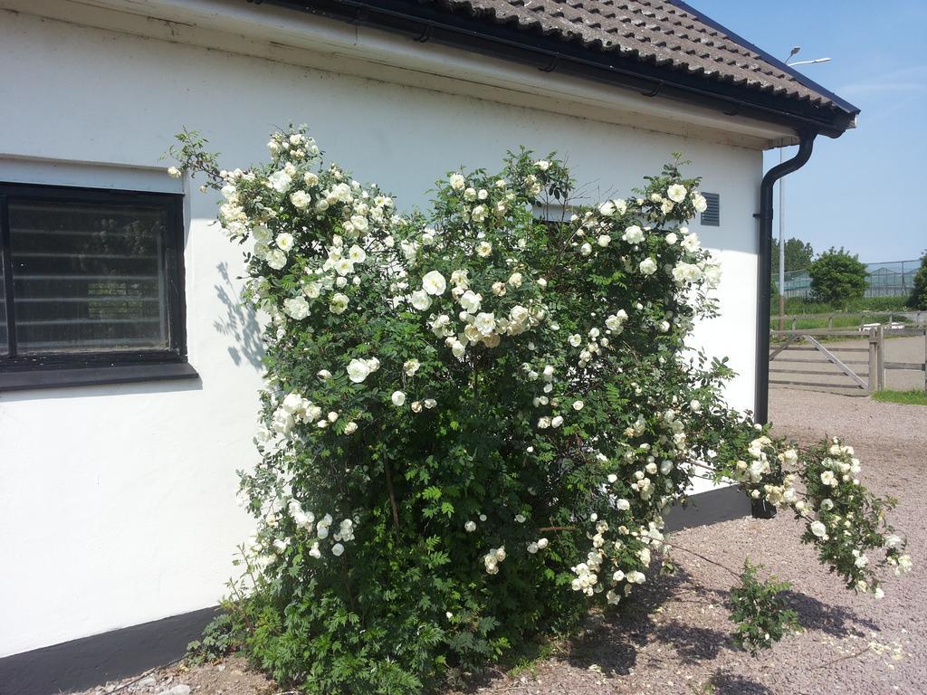Pensjonat Laegenhet Lillisgarden Vallåkra Zewnętrze zdjęcie