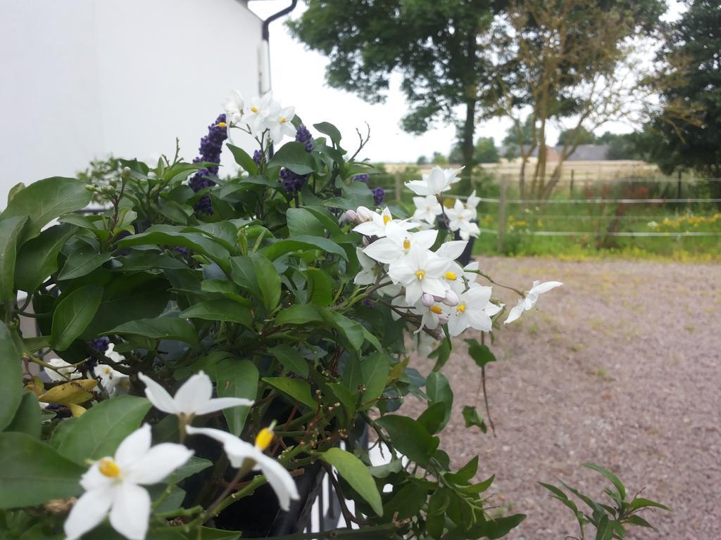 Pensjonat Laegenhet Lillisgarden Vallåkra Zewnętrze zdjęcie